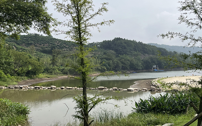 怎樣進行有效的綠化養(yǎng)護管理 怎樣進行有效的綠化養(yǎng)護管理