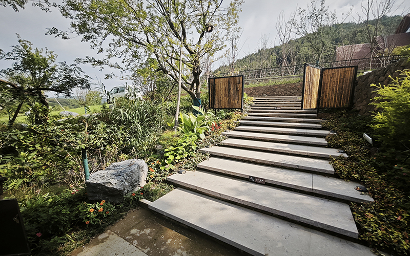 1736476242736025.jpg 211.jpg