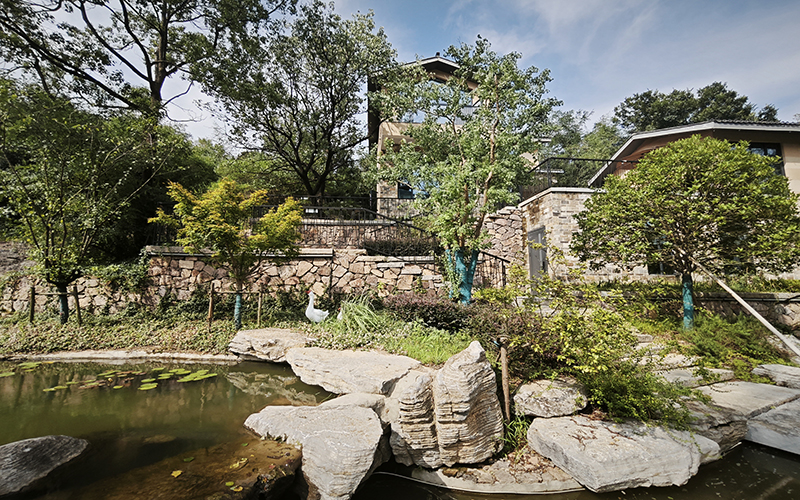 1740538725840295.jpg 218.jpg