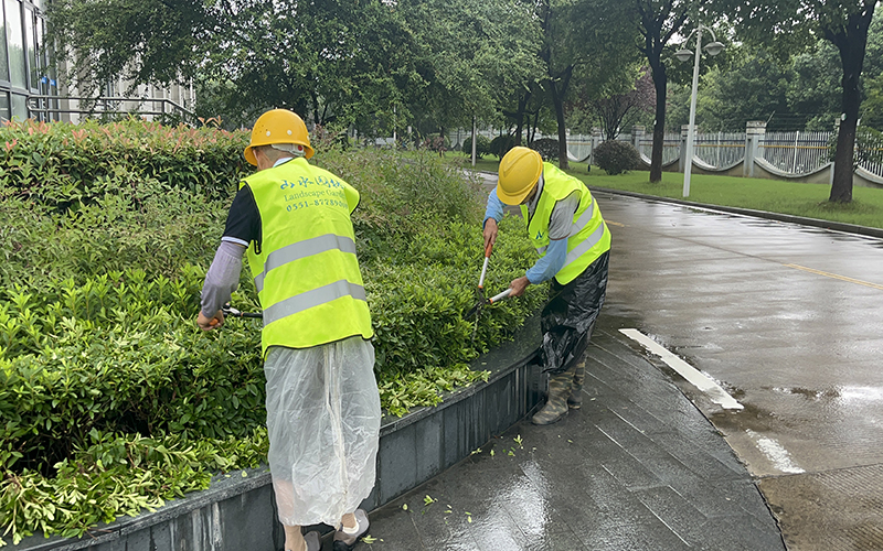 1740539166869600.jpg 044.jpg