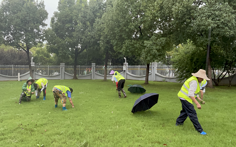 1745821881533169.jpg 053.jpg